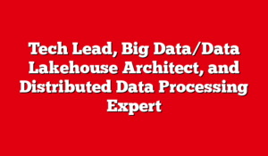 Tech Lead, Big Data/Data Lakehouse Architect, and Distributed Data Processing Expert